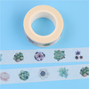 Succulent Plants Wahi tape