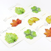 Strange Leaves Memo Pad