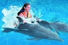плавание с дельфинами москвариум