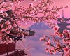 Посетить Японию во время цветения сакуры