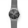 Часы SKAGEN 233XLTTM