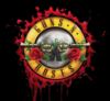 Концерт Gun`s & Roses 13 июля