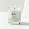 Pistachio brulee Gourmand Candle
