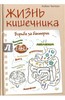 Робин Чаткан: Жизнь кишечника. Борьба за бактерии