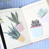 Cultured Succulent Plants Memo pad