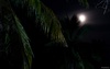 Moonshine in Bali