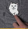 Футболка или рубашка с котиком, скрытно показывающим фак