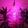 светодиодные лампы для растений