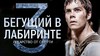 Бегущий в лабиринте: лекарство от смерти