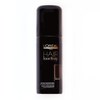 L'Oreal Professionnel Hair Touch Up Brown