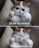 ообнимашки