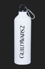 Guild Wars 2 Water Bottle