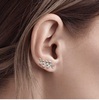 Tiffany Olive Leaf Climber Earrings