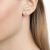 Silver earrings