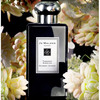 Парфюмерная вода Jo Malone Tuberose Angelica