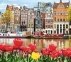 Поездка  в Голландию на тюльпаны