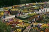 Никитский ботанический сад (Крым)