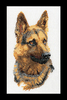 Набор для вышивки крестом Овчарка. Shepherd's Dog (Теа Гувернер) №934 АРТИКУЛ 371534