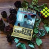 Давид Лагеркранц: Девушка, которая искала чужую тень