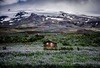 Маленький домик в Исландии