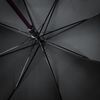 Чёрный зонт-трость