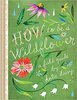 How to Be a Wildflower: A Field Guide [Hardcover]