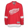 Хокrейный свитер Red Wings