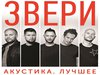 Билет на концерт группы звери