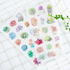 6 pcs/pack Succulent Plants Stickers