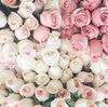 White & pink roses bouquet