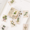 45 pcs/lot Plant Illustration Stickers