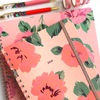 ban.do 2019 medium 12-month annual planner - bellini