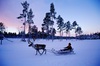 Поехать зимой в Финляндию
