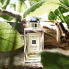 Jo Malone Wood Sage & Sea Salt