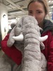 слона