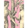 Постер "Адам и Ева"
