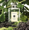 Jo Malone Blackberry & Bay Одеколон