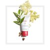 My Clarins Очищающий гель для молодой кожи