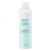 Матирующий тонер для жирной кожи A'PIEU Mintcho Sebum Free Mattifying Toner
