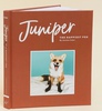 Книга Juniper: The Happiest Fox