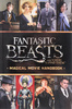 Fantastic Beasts and Where to Find Them: Movie Handbook: The Characters