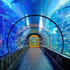 acrylic tunnel