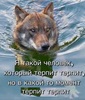 Большая энциклопедия мемов с волками