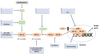 Polymeric Nanoparticles Synthesis