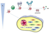 Conventional Liposomes Synthesis