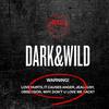 BTS: Dark & Wild