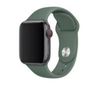 Ремень на часы Apple watch Series 3, 38мм, размер S, цвет Сосновый лес или Черный