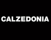 Подарочный сертификат в магазин одежды Calzedonia