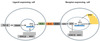 chemokine array