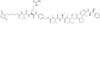 paricalcitol